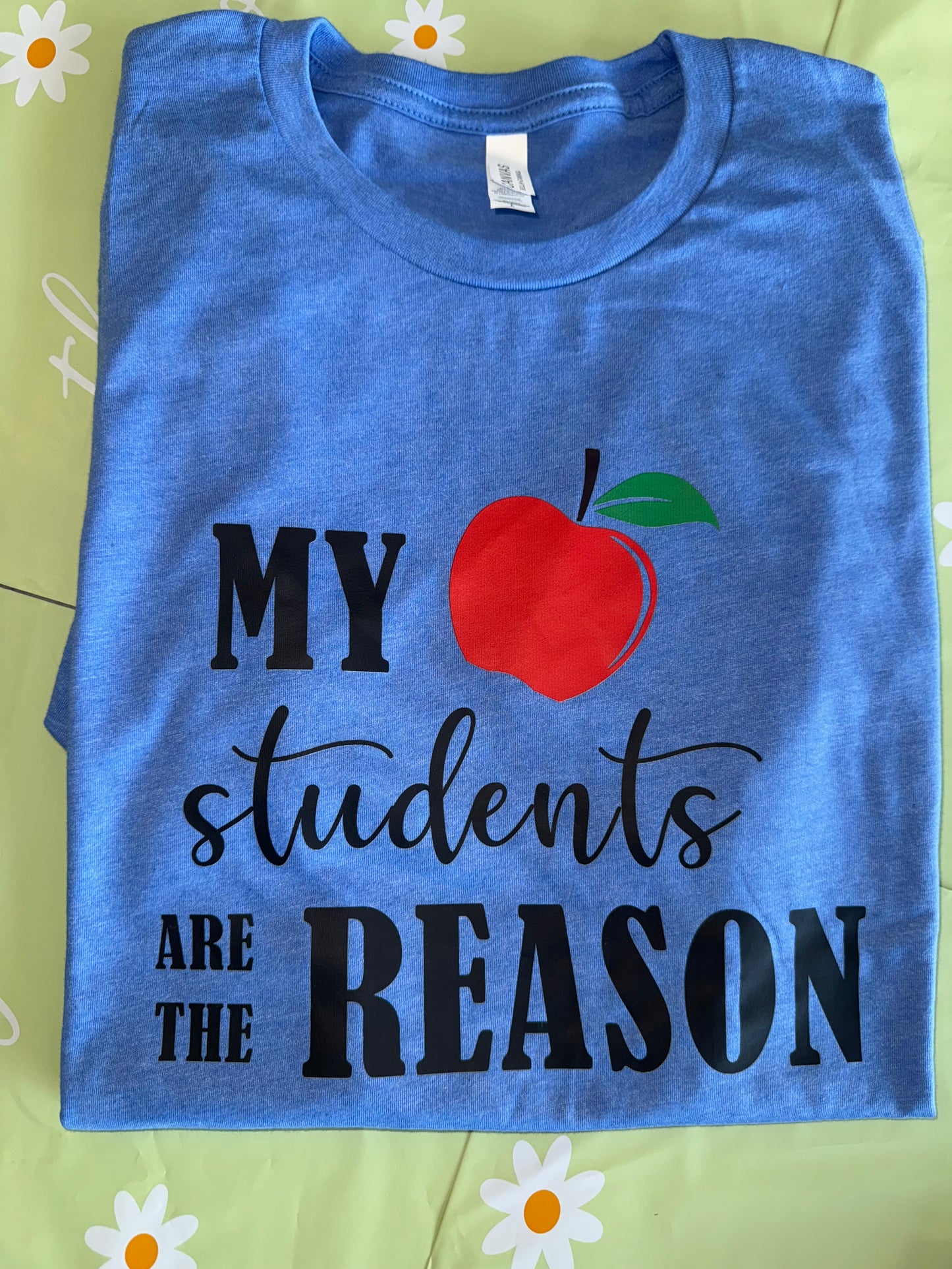 My Students Are The Reason - Bella Canvas TShirt